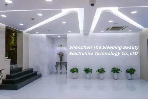 Verified China supplier - Shenzhen The Sleeping Beauty Electronics Technology Co., Ltd.