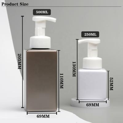 China 300ml 500ml Pet Resin Plastic Foam Hand Refillable Laundry Bubble Dish Packaging Liquid Soap Bottle for sale