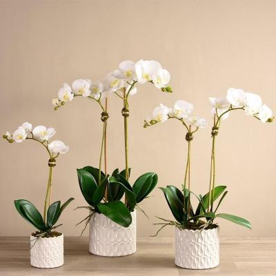 China New arrival unique design unique design garden flower orchid indoor outdoor white ceramic pot for balcony for sale