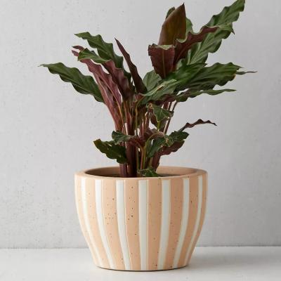 China Novelty Europe Round Garden Planter Modern Texture Striped Glazed Ceramic Pot Indoor Outdoor Porcelain Flower Accessories Pot for sale