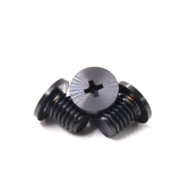 China Flat Pan Customized Black PVD Head Stainless Steel CD Pattern Screw for sale