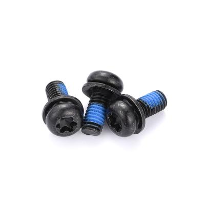 China Steel Pan Carton Round Head T8 T10 Torx Wrench Combination Screw for sale