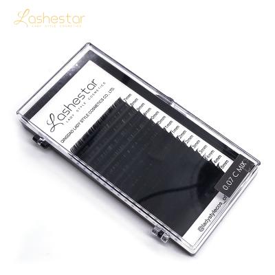 China Feather lashestar ellipse whips flat pbt eyelash extensions 0.07 thickness for sale