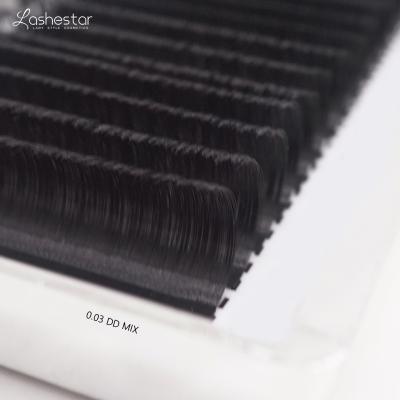 China Classic Feather OEM / ODM Korea PBT Volume Material Different Eyelash Extension Supplies Lashestar for sale