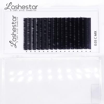 China Automatic Fans Tapered Lashestar Classic Lashes Artificial Acrylic Eyelash Case PBT for sale