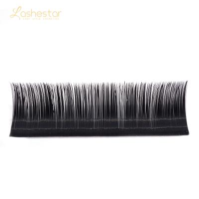 China Korean Easy Auto Fan Tapered Fan Eyelash Extensions OEM Lash Synthetic Hair for sale