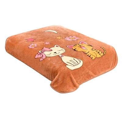 China Waterproof Ultra Soft Premium Quality Embossed Cloudy Baby Mink Blanket for sale