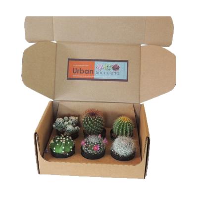 China Recycled Materials Printed Subscription Succulent Boxes Herb Eco Friendly Custom Display Indoor Corrugated Paper Packaging Box for sale