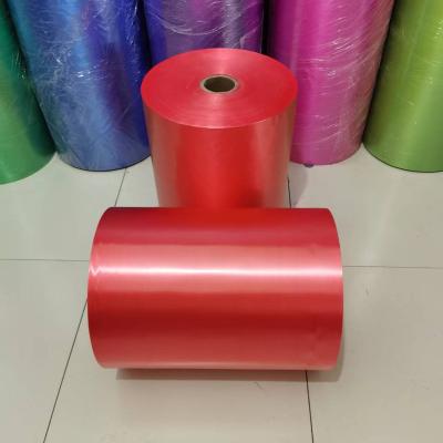 China Hot Selling PP PP Ribbon 51CM*1000M for sale