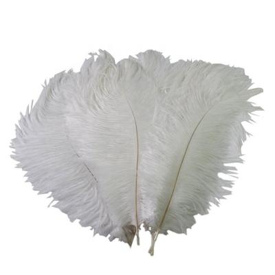 China White Ostrich Feathers Various Size High Quality Natural/Bleached/Soft/Healthy for sale