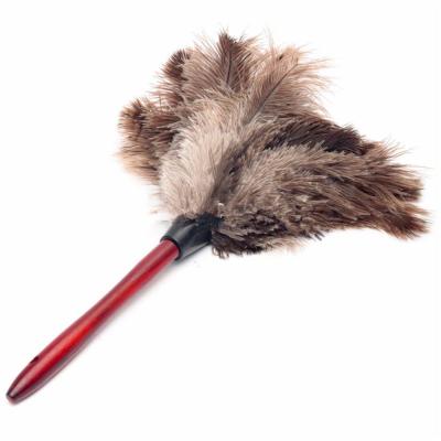 China China Factory Hot Selling Natural Feather Garment Ostrich Brown Feather Duster Anti-Static Duster for sale