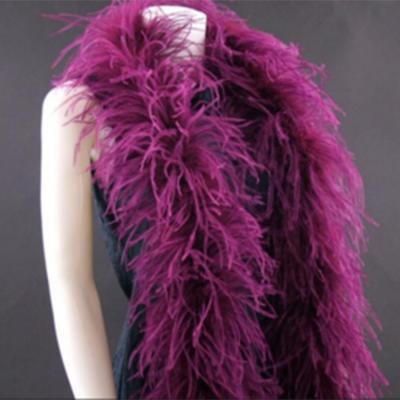 China For Party Factory Wholesale Good Quality Colorful Ostrich Feather Boas for sale