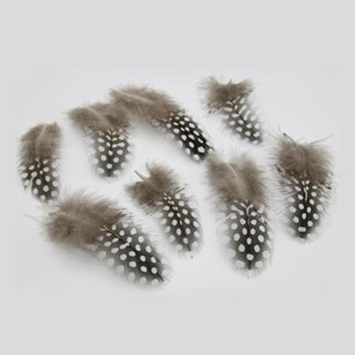 China Professional garment factory production duck feathers for sale for sale