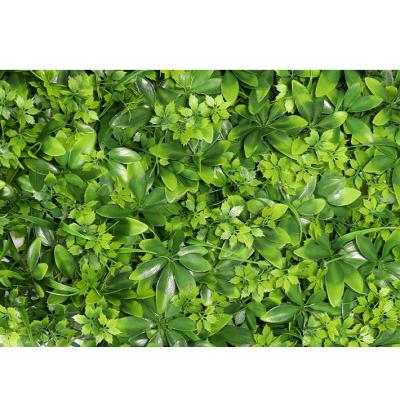 China Boxwood Wall Wedding Garden Ornaments Non-Toxic UV Protected Green Grass Greening Wall for sale