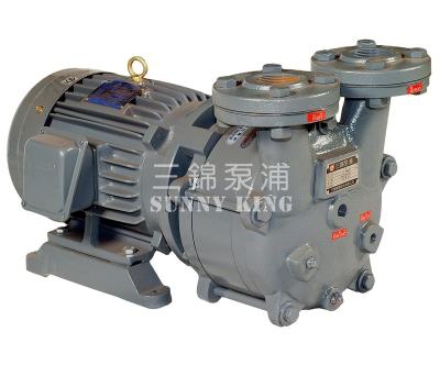 China Automotive Industry Model SWK-2 Single Liquid-Satge Ring Vacuum Pump ISO9001 for sale