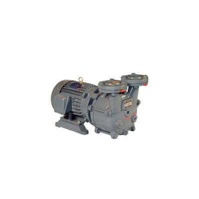 China Automotive Industry Product Manufacturer Best Selling Electric 6V12v24v Iso9001 High Pressure Model Vacuum Pump for sale