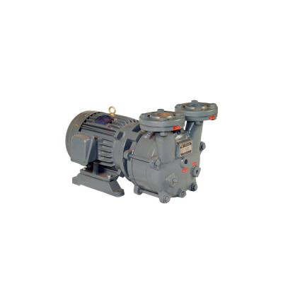 China Automotive Industry Product Ring Model Swk-5 Manufacturer Popular Liquid Iso 9001 High Pressure Vacuum Pump for sale