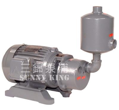 China ISO9001 Automotive Industry Model SWP-1 Single Liquid-Satge Ring Vacuum Pump for sale