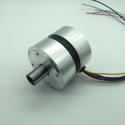 China 12v 24v 36v 48v Direct Drive Brushless Motor CE RoHS Good Quality for sale