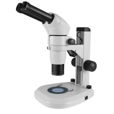 China TS-60/61/62 Parallel Binocular Zoom Stereo Microscope TS-60/61/62 for sale