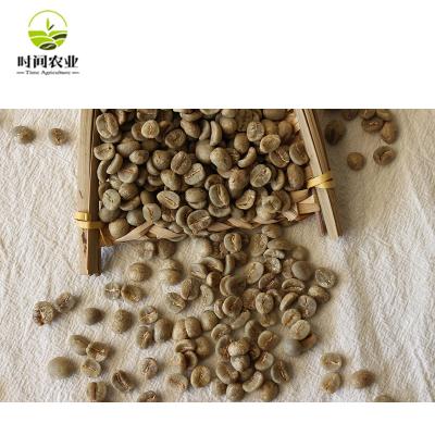 China Fair Trade Wholesale Organic Arabica Green Coffee Beans 16-18 for sale