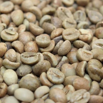 China green coffee bean supplier coffee granos arabica robusta green beans for sale