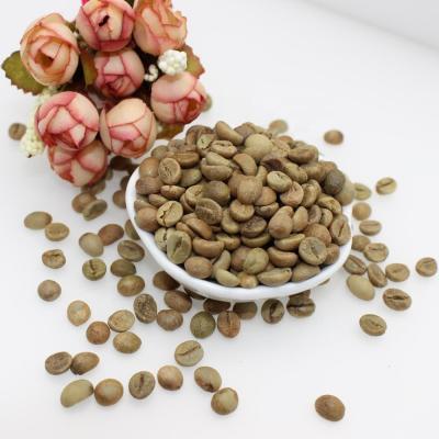 China VIETNAM COFFEE BEANS SCREEN ROBUSTA 18 FOR EXPORT robusta green beans for sale