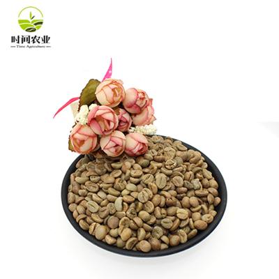 China Bulk Green Robusta Green Beans from Guatemala of Excellent Quality Coffee Beans for sale