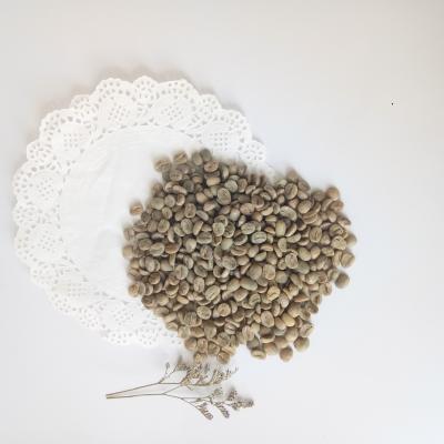 China Chinese Yunnan Green Coffee Beans, Arabica Type, Unroasted Coffee Beans Arabica Green Beans for sale