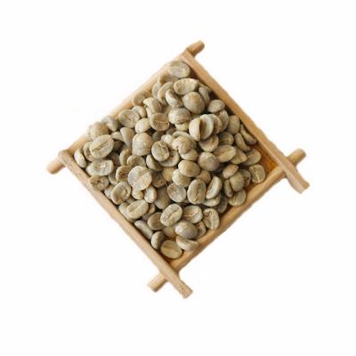 China Factory direct-sale bulk 100% organic ground arabica green coffee beans 15 - 18 for sale