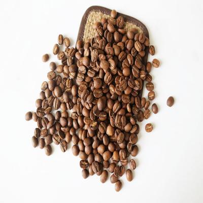 China Fresh Whole Dark Roasted Coffee Beans On Sale YNTC-01 for sale