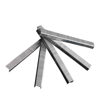 China Steel Galvanized U Type Furniture Whosesale F Nail 1010J Staple 1013 All Sizes Gun Nails Staples for sale