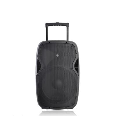 China Outdoor& Temeisheng 100W 100W Indoor Sound Rechargeable Active Speaker RQSONIC CSL15AMFQ-V2BP-BT 15