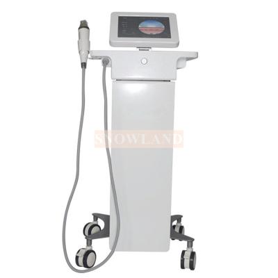 China Fractional Rf Microneedle Device Radio Frequency Microneedling for sale