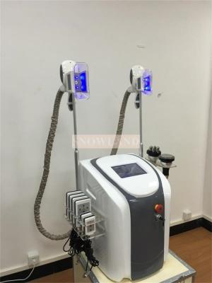 China 2 Handle Beauty Salon Equipment Criolipolisis Cryolipolysis Slimming Machine for sale