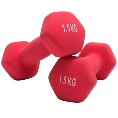 China Solid Neoprene Liner Premium Cast Interior Fully With Soft Touch Neoprene Lady Dumbbell Coated Women Lightweight for sale