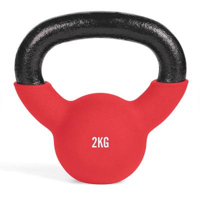 China Neoprene Liner Body Revolution Kettlebells Neoprene Coated Kettle Bells Gym Weightlifting Cast Iron Kettlebell Chain for sale