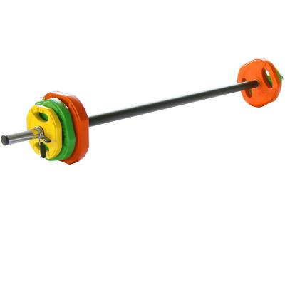 China Barbell Weights Set Professional Adjustable 20kg Body Pump Set Home Gym Training Barbell Weight Set Strength Building Training for sale