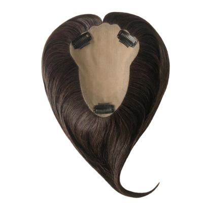 China Direct Sales Of European And American Lady Wig Silk Base Hair Silky Straight Wave Topper Fully Hand - woven wig for sale