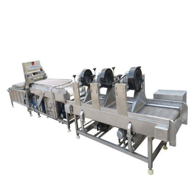 China Small continuously kitchen washing fruits and vegetables machine and cleaning line for sale