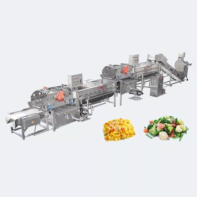 China Banana Pitaya kiwifruit clean washing air dryer machine line peach Mango brush washing processing machine for food plant for sale