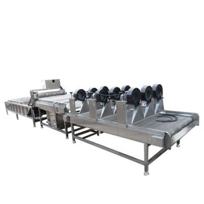 China 400-600 kg Fruit Groente Verwerking Machine Automatische Fruit Drogen En Sorteren Te koop