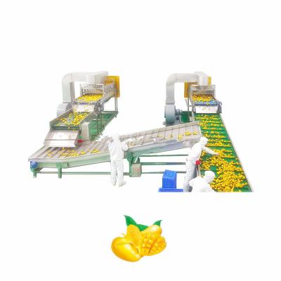 China Appelsapproductielijn / fruitpulpverwerkingsmachine / mango Vruchtensapverwerkingslijn Te koop