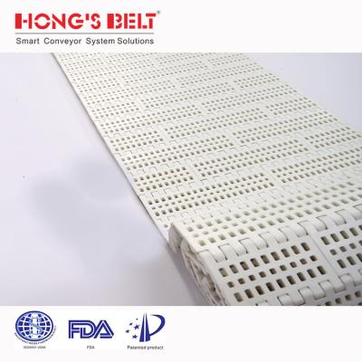 China HS-100B Temperature Range: Food Grade Anti-Abrasion Modular Plastic Conveyor Belt China Supplier for sale