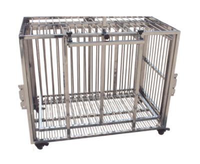 China Treatment Stainless Steel Pet Injection Cage For Dog for sale