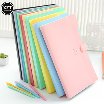 China Custom 12 Waterproof Plastic Pocket Organizer Document Bag Ribbon Elastic Expanding Folder Strap/Paper/Stationery Office A4 File Folder for sale