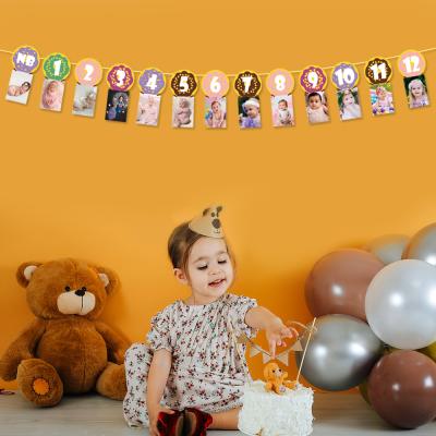 China Newborn to 12 Months Wall Decor Twinkle Birthday Baby Photo Banner Newborn to 12 Months Monthly Diary Garland Photo Bunting Banner for sale