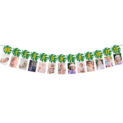 China Wall Decor 1st Birthday Baby Photo Banner for Newborn to 12 Month Monthly Milestone Photography Bunting Garland Birthday Decoration for sale