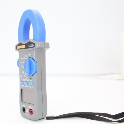 China TS202+Digital Ammeter Portable Fully Automatic Clamp AC/DC Clamp Meter for sale