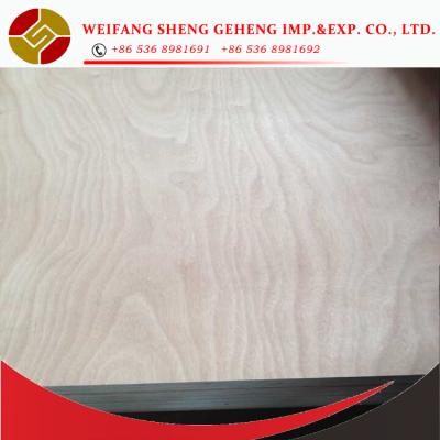 China 3mm 9mm 12mm 15mm 18mm Glue Pencil Indoor MR Cedar/Birch Faced Plywood/Commercial Plywood en venta